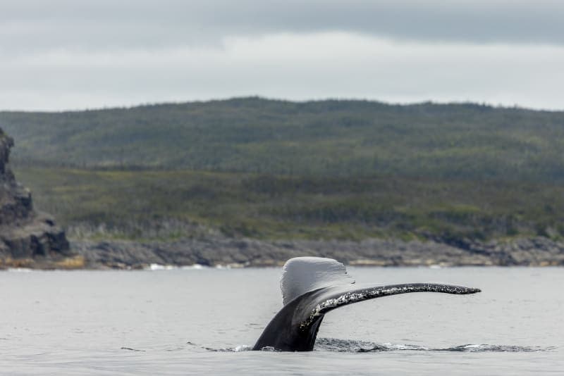 Photo de la série Marins