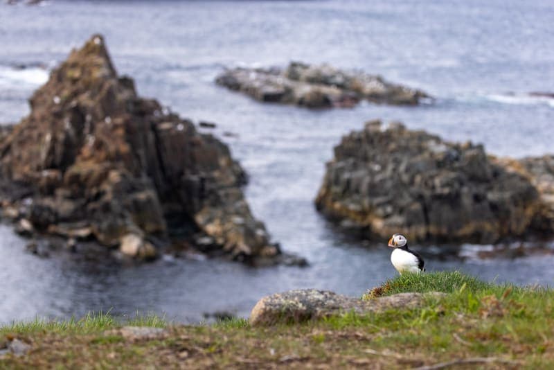 Photo de la série Marin